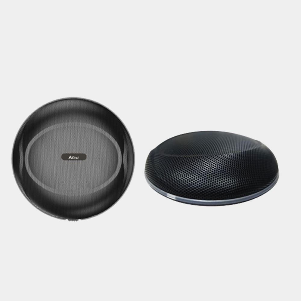 Ceiling Array Microphones